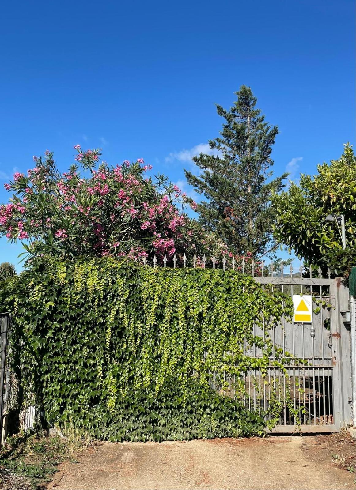 Can Wancho Botarell Exterior foto